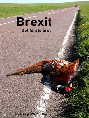cover image of Brexit Det første året